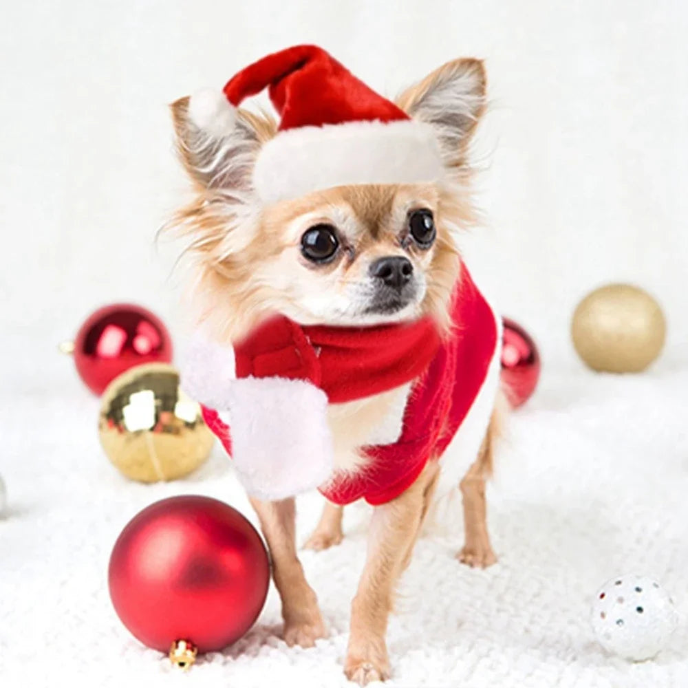 Bonnet et Écharpe de Noël Tricotés pour Chien et Chat — Lots Disponibles