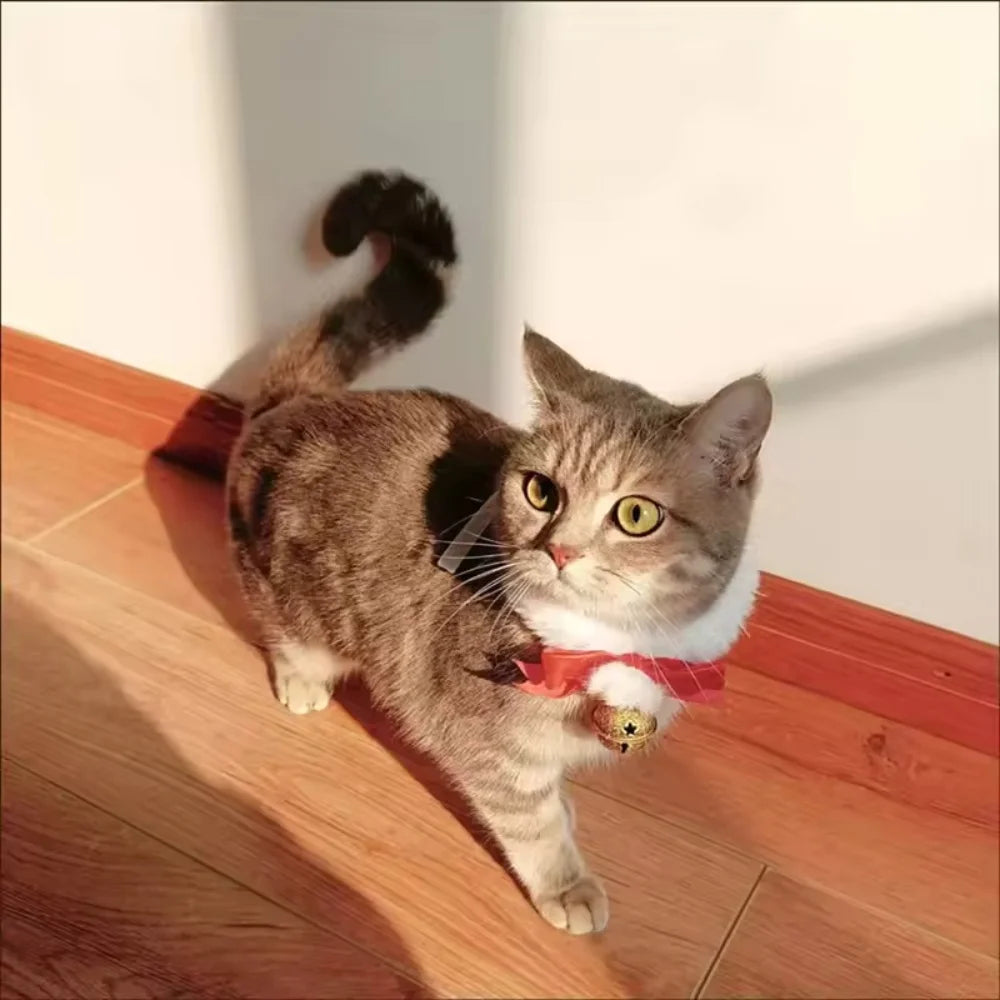 Collier à Nœud de Ruban pour Chien et Chat — Fait Main avec Grelot