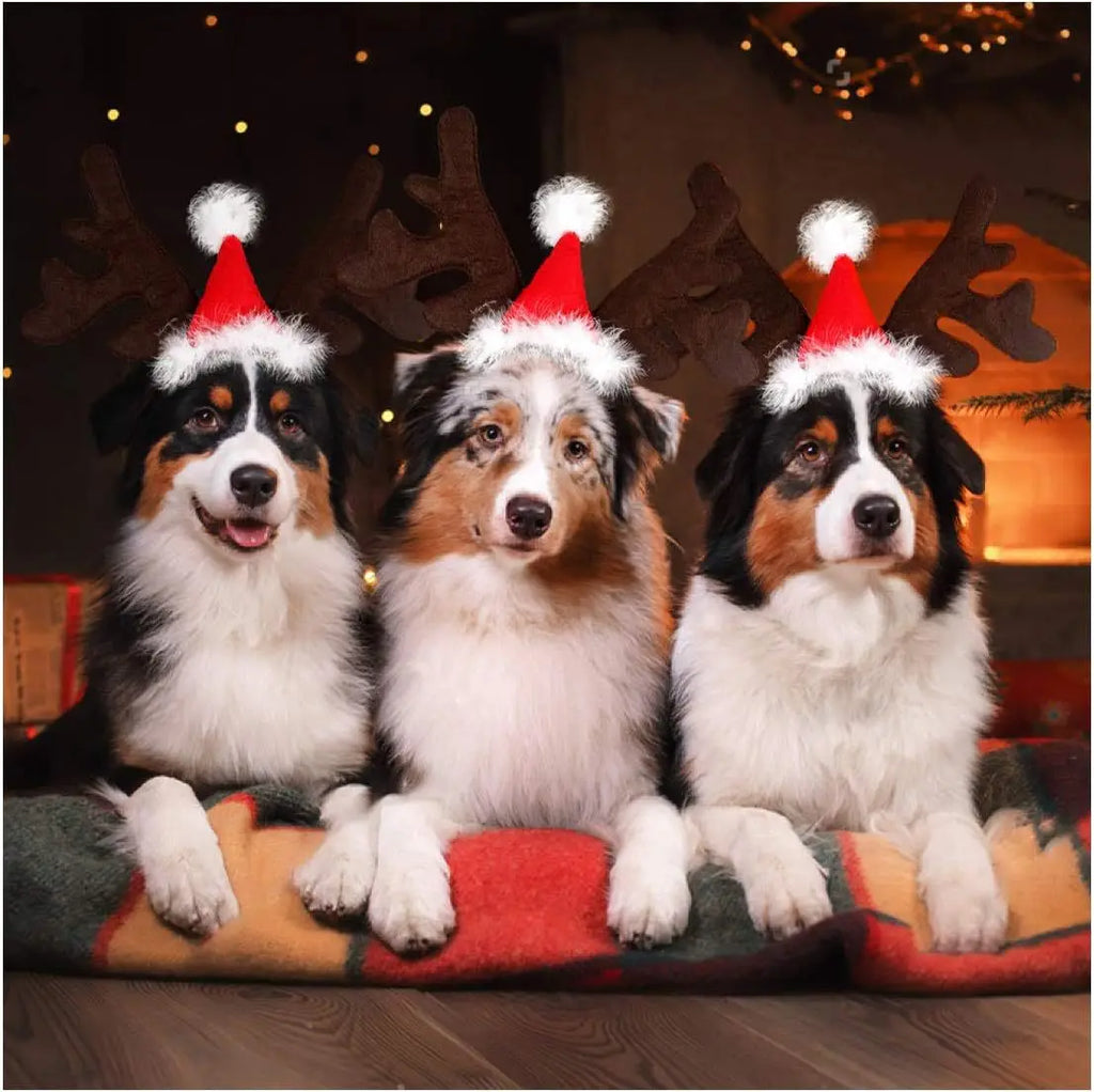 Serre-Tête de Noël pour Chien et Chat — Bois de Renne et Bonnet