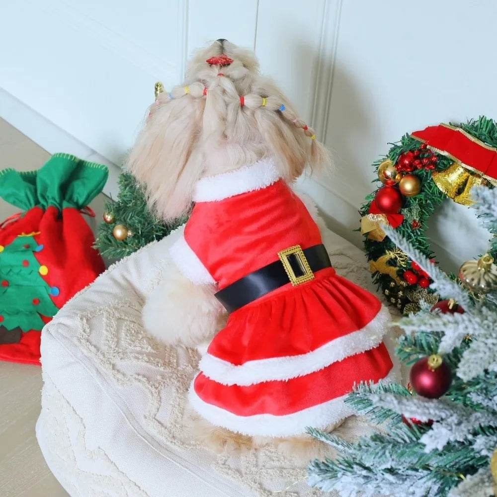 Robe de Noël Rouge pour Chien et Chat — Tenue de Réveillon