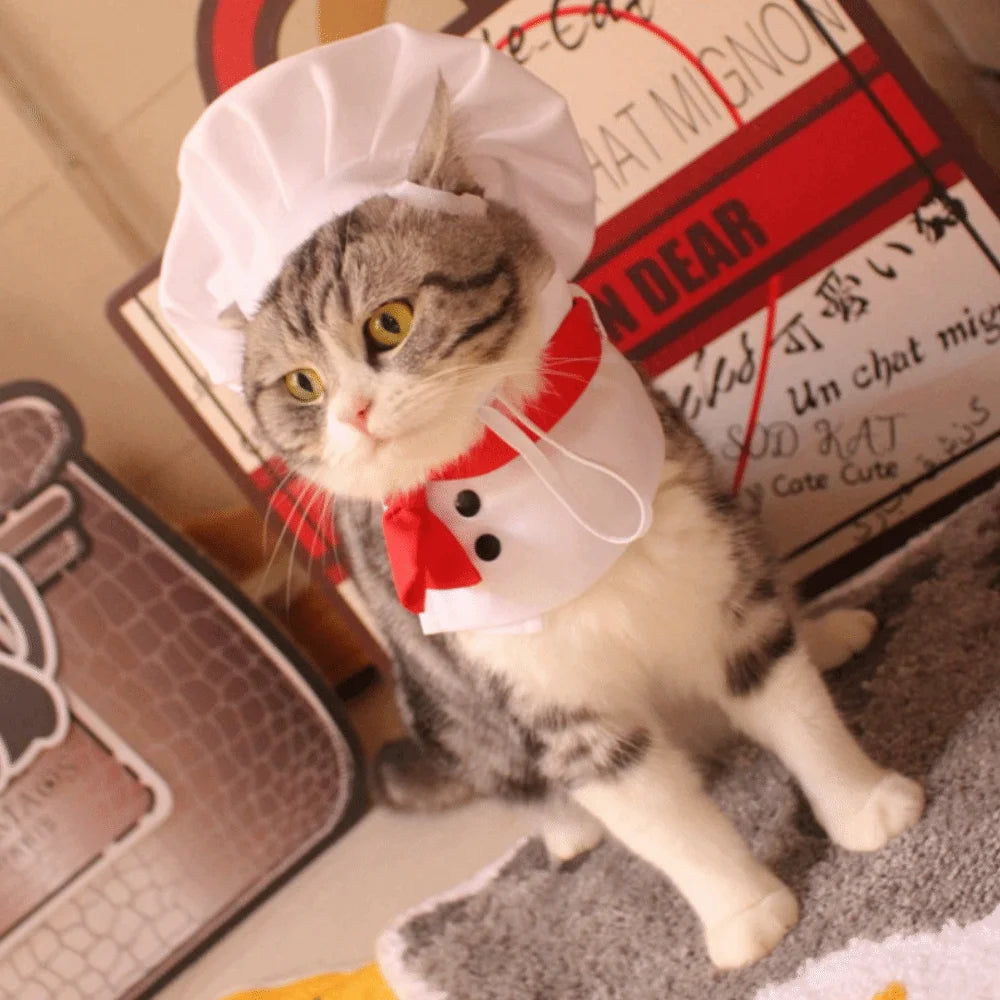 Toque de Chef pour Chien et Chat — Chapeau Ajustable