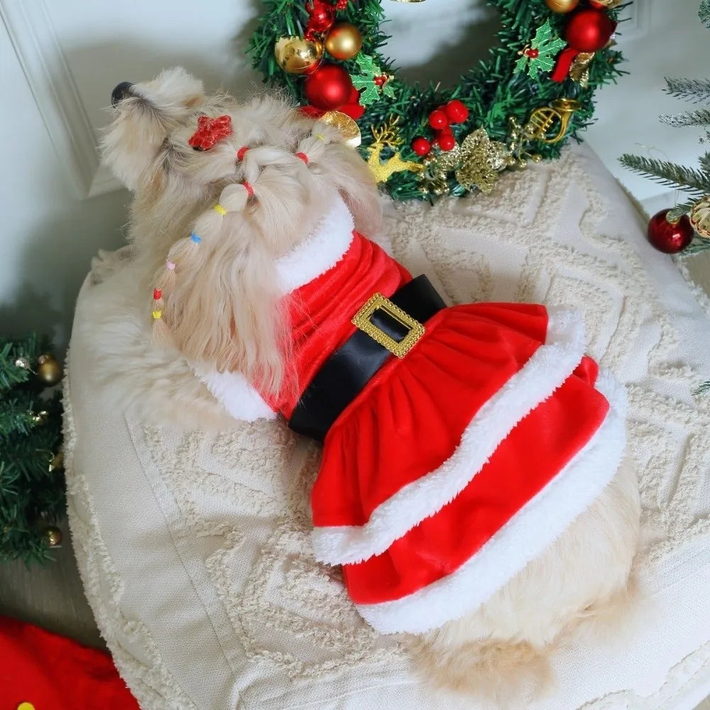 Robe de Noël Rouge pour Chien et Chat — Tenue de Réveillon