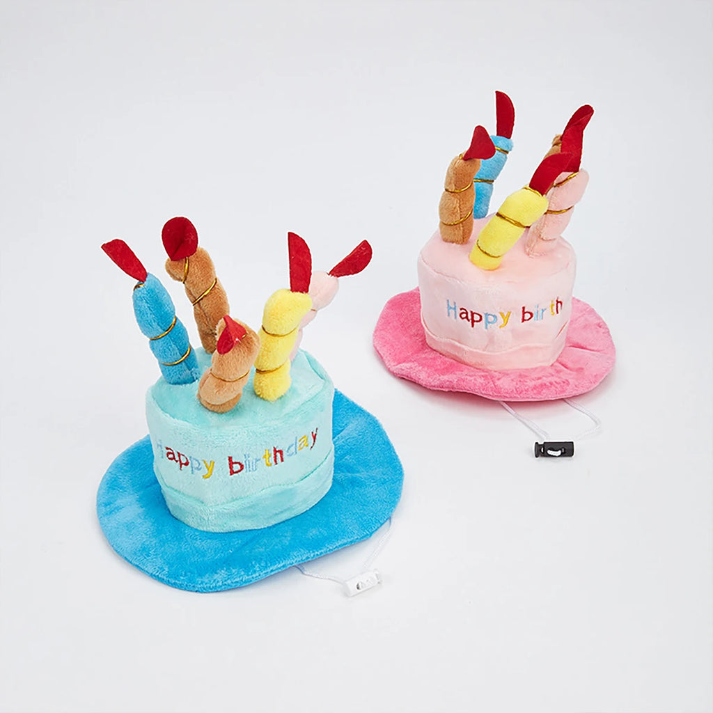 Chapeau d'Anniversaire pour Chien et Chat — Gâteau et Bougies