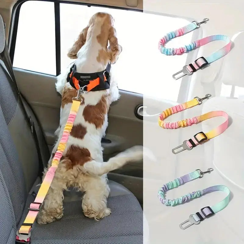 Ceinture de Sécurité Voiture pour Chien et Chat — Attache Harnais