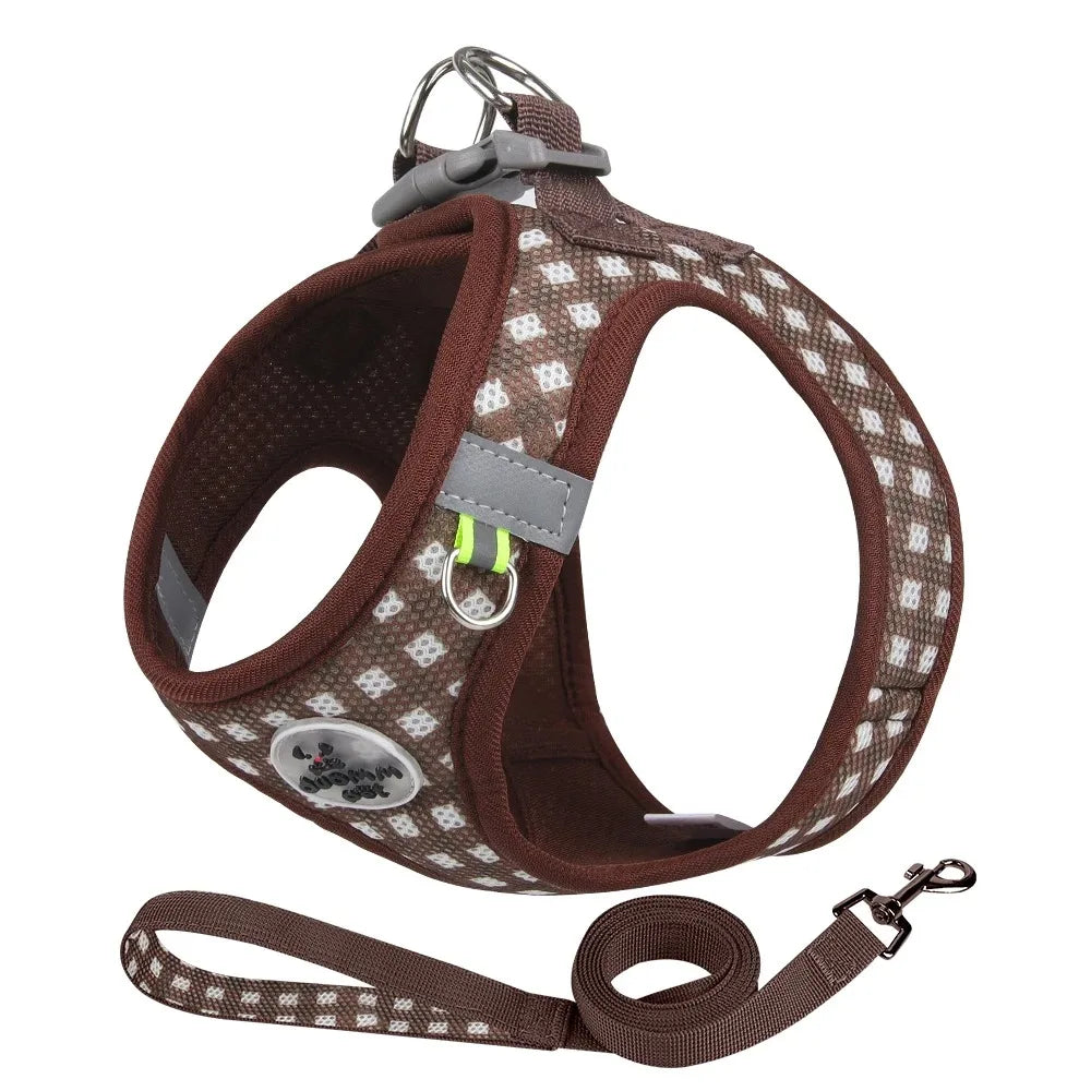 Harnais Confort Anti-Traction pour Petit Chien — Réglable & Rembourré
