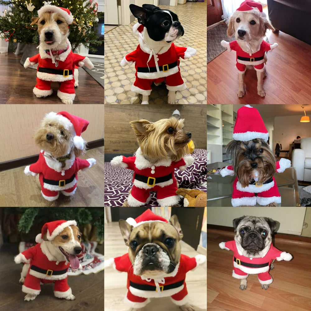 Costume Père Noël pour Chien et Chat — Tenue de Fête Rouge