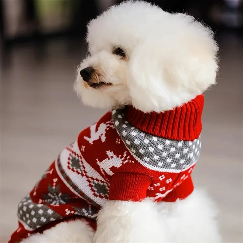 Pull Tricoté en Laine pour Chien et Chat — Chaud pour l'Hiver