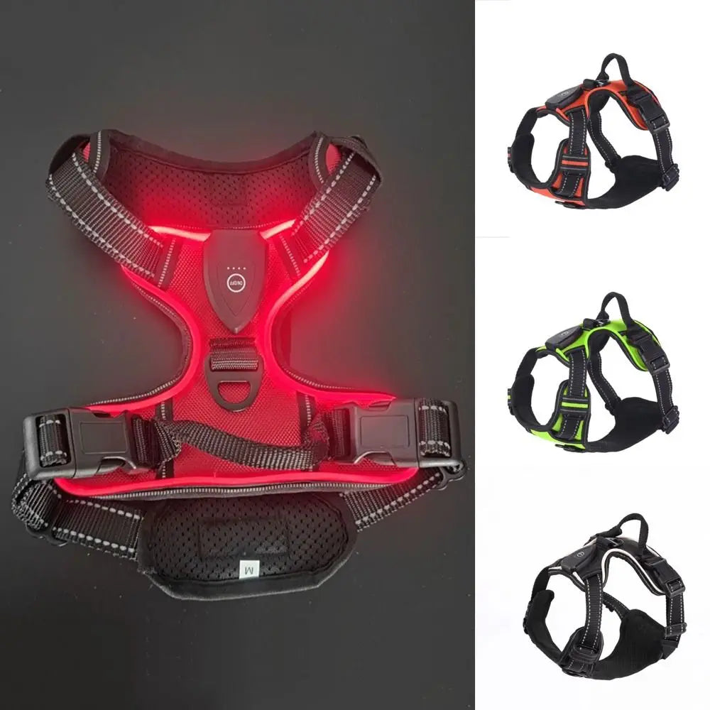 Harnais Lumineux LED Rechargeable pour Chien — Double Anneau