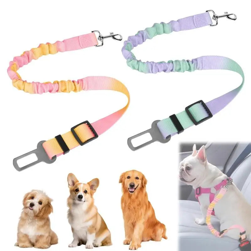 Ceinture de Sécurité Voiture pour Chien et Chat — Attache Harnais