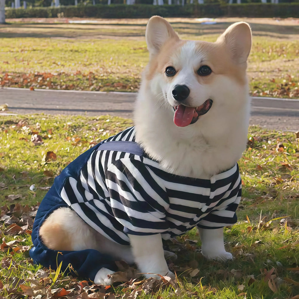 Combinaison Polaire pour Chien — Anneau de Laisse, XS au 4XL