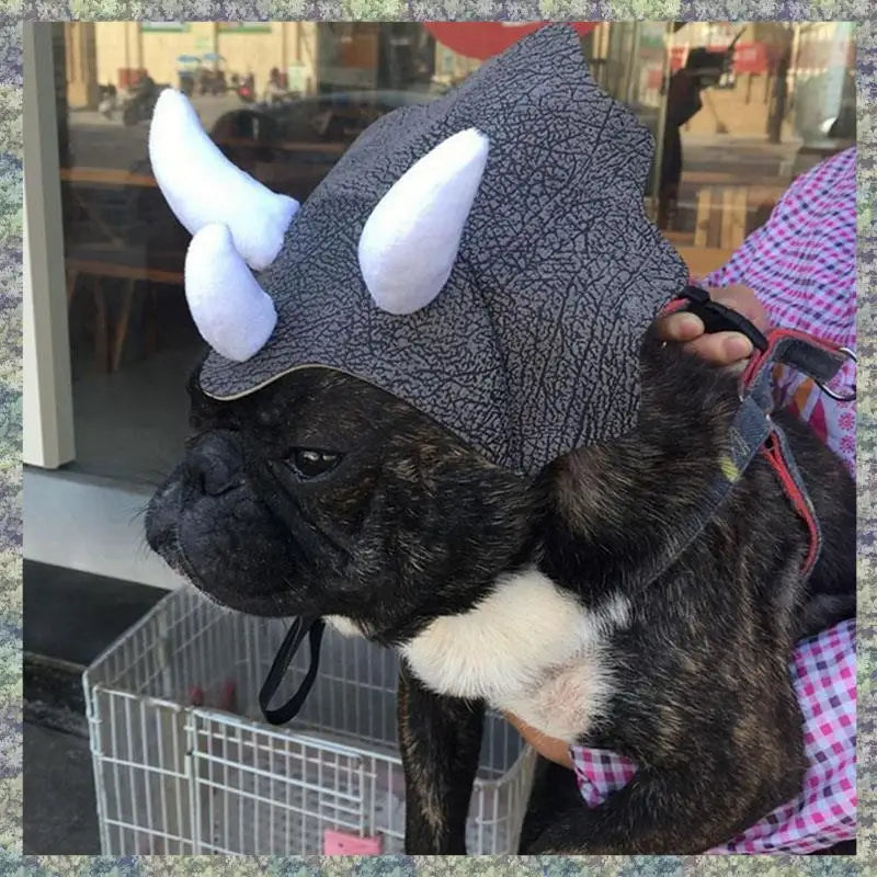 Chapeau Tricératops pour Chien et Chat — Accessoire Dinosaure
