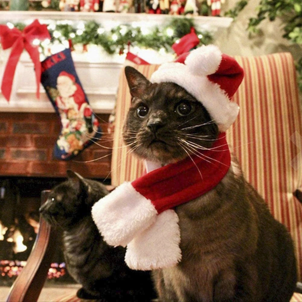 Bonnet et Écharpe de Noël Tricotés pour Chien et Chat — Lots Disponibles