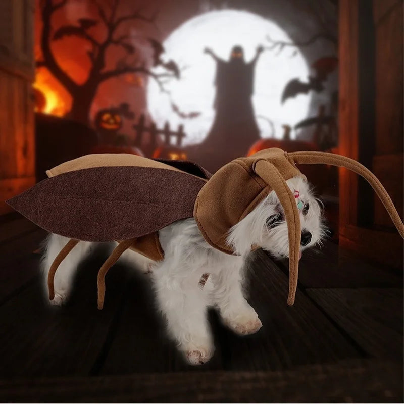 Déguisement Cafard Géant pour Chien et Chat — Costume Halloween