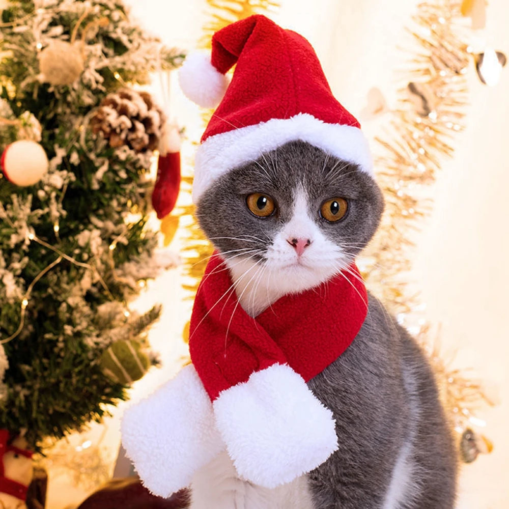 Bonnet et Écharpe de Noël Tricotés pour Chien et Chat — Lots Disponibles