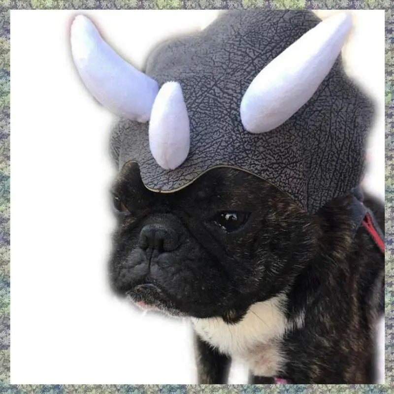 Chapeau Tricératops pour Chien et Chat — Accessoire Dinosaure