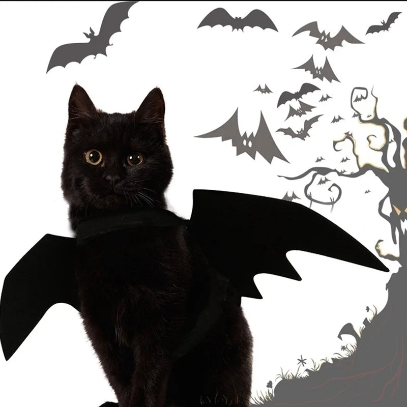 Harnais Ailes de Chauve-Souris pour Chat et Petit Chien — Halloween