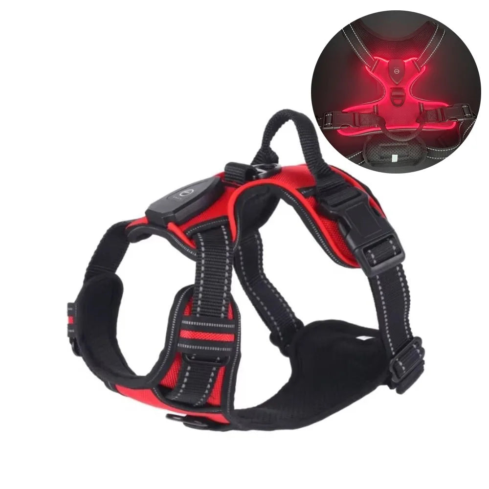 Harnais Lumineux LED Rechargeable pour Chien — Double Anneau