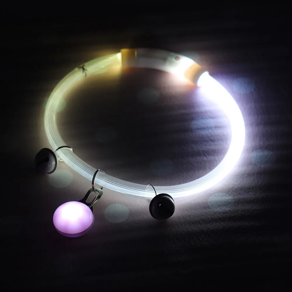 Collier Lumineux Fibre Optique pour Chien et Chat — Rechargeable USB