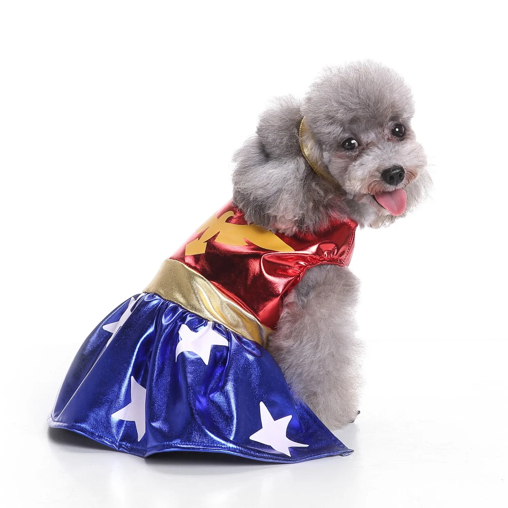 Costume Aigle pour Chien — Déguisement Ailes Déployées