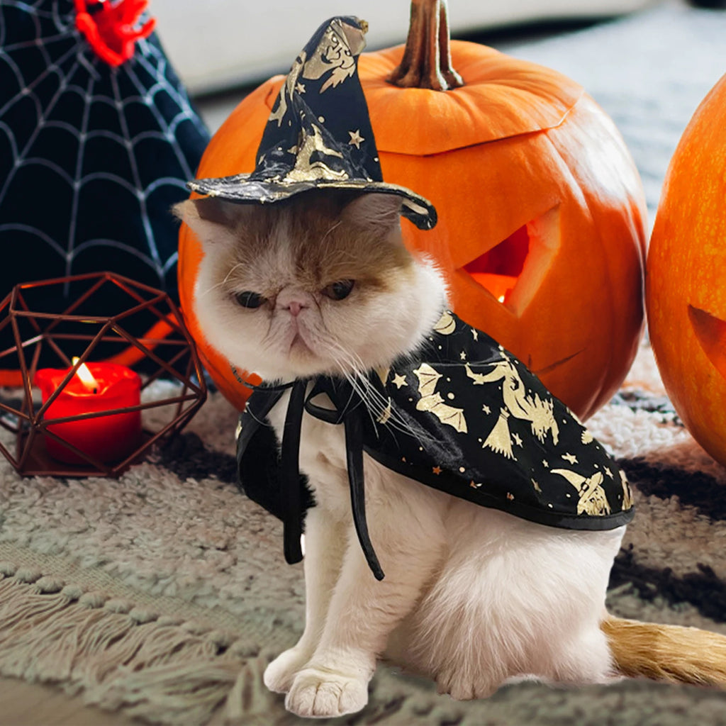 Déguisement de Sorcier pour Chien et Chat — Cape et Chapeau