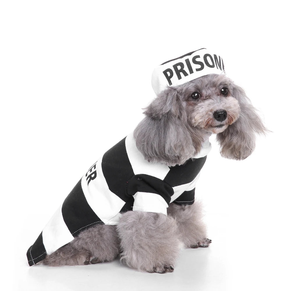 Costume Déguisement pour Chien et Chat — 6 Thèmes au Choix