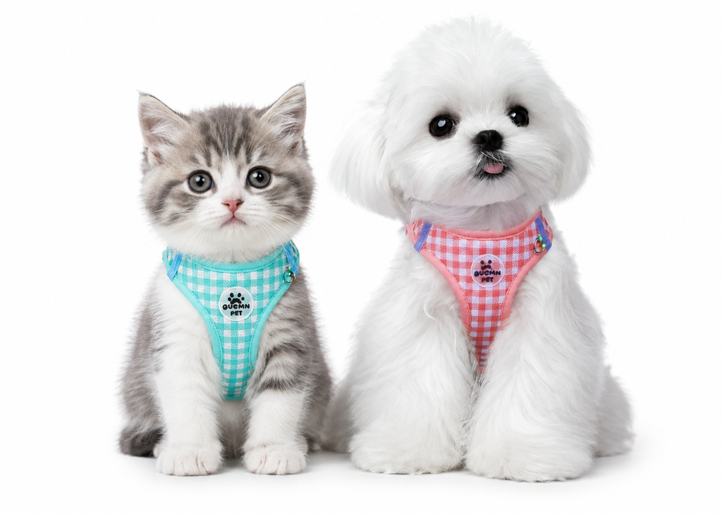 Harnais Confort Anti-Traction pour Petit Chien — Réglable & Rembourré